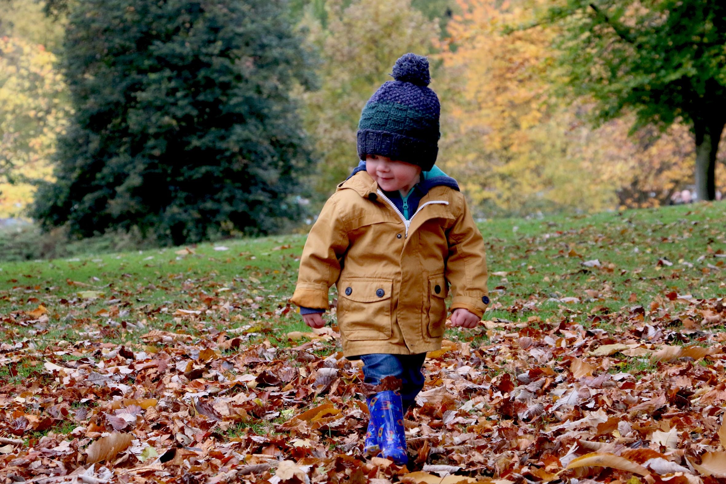 child walking in fall leaves