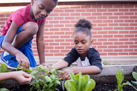 safe routes to healthy food safe routes to healthy food