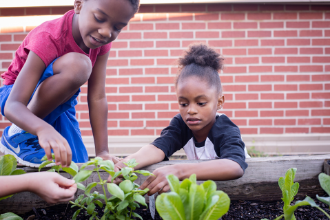 safe routes to healthy food